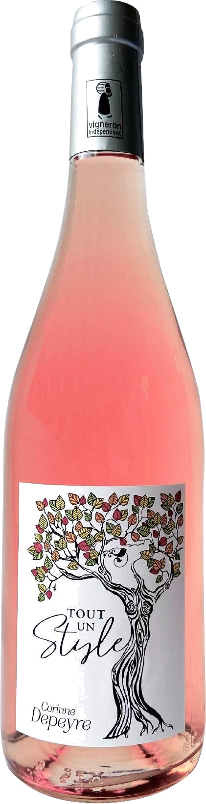 Style Rosé pudel