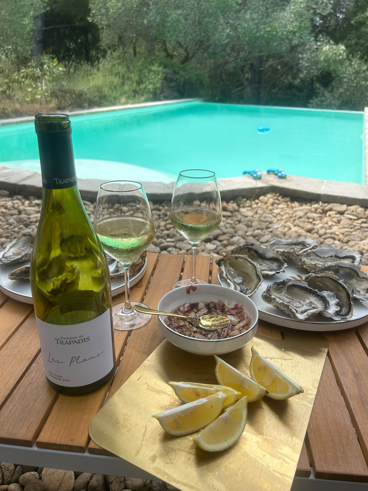 Domaine du Trapadis'e Les Plans, austrid ja sidrun basseini ääres