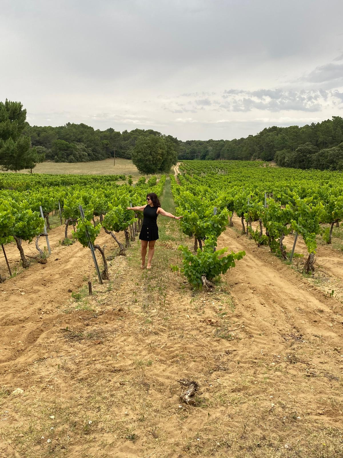 Phacélies Rouge vein